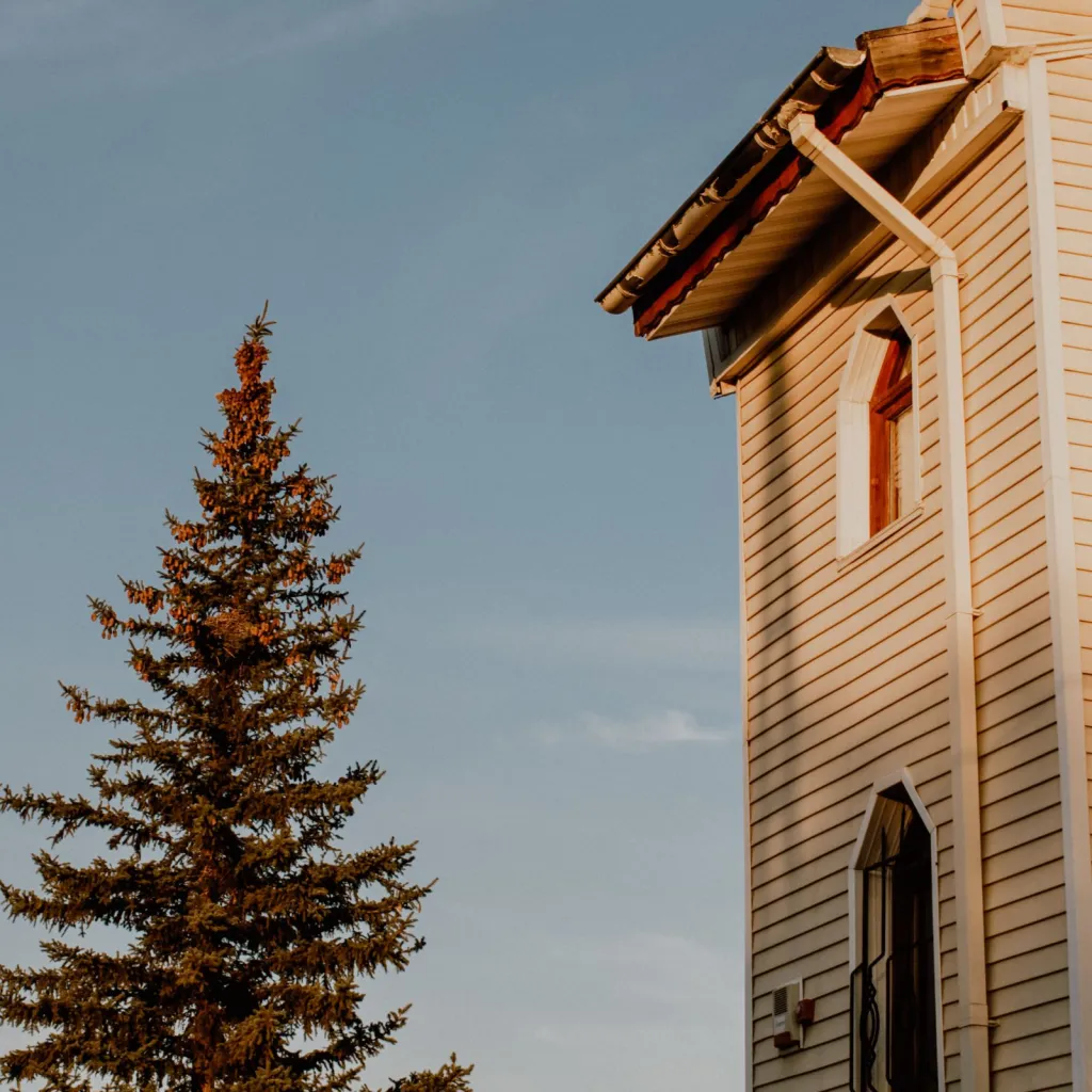 A Clear View of Your Gutters
